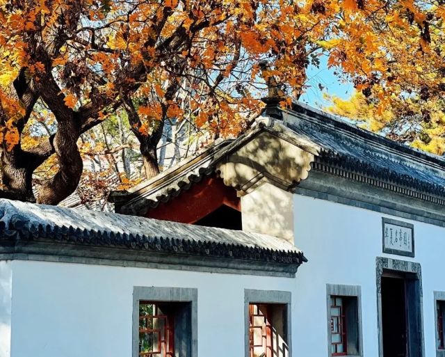 TOP10旅行社口碑排行榜权威发布！2025年10月更新：北京正规靠谱(图5)